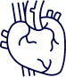 قلب | داخلی قلب (کاردیولوژی)
